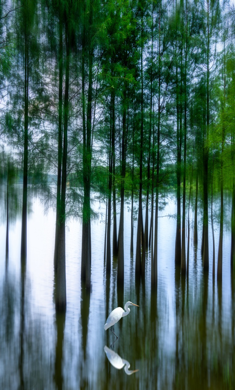 松山湖景区