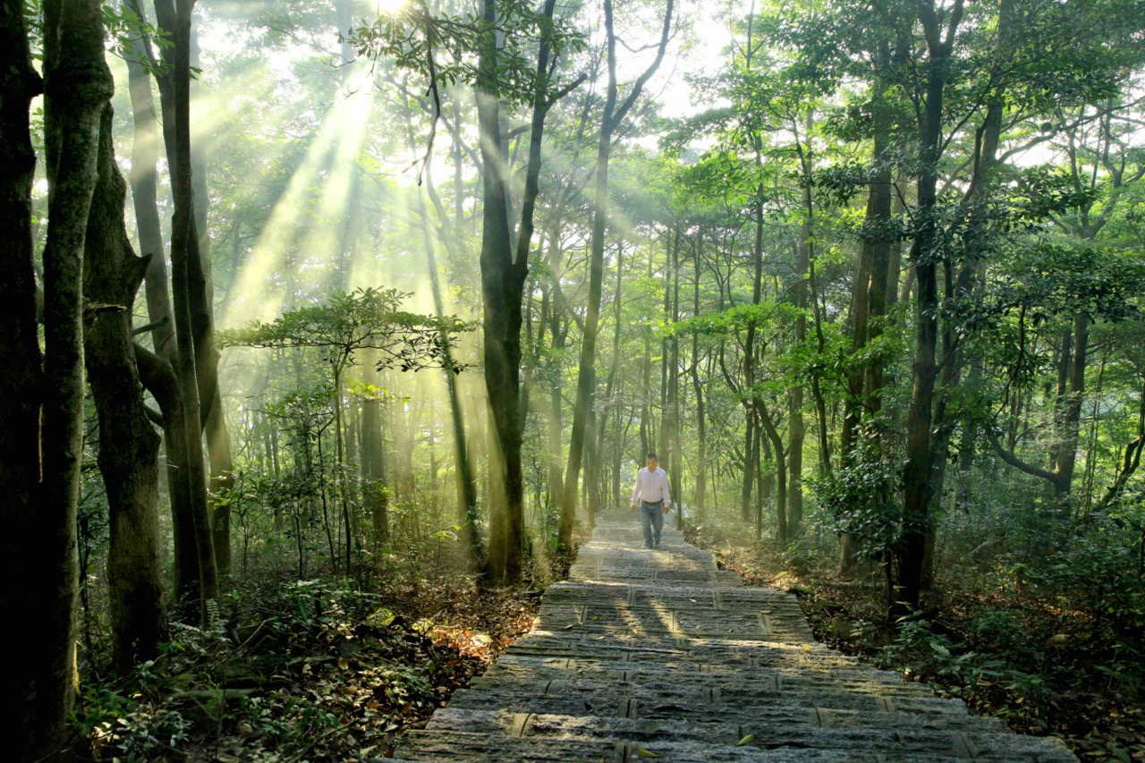 银瓶山森林公园