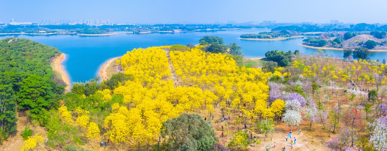 松山湖景区