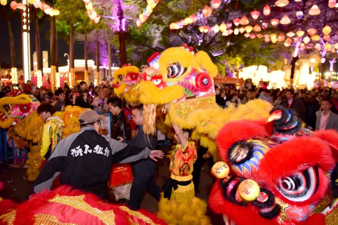睇醒狮、编草龙…这周末一起“牛”起来